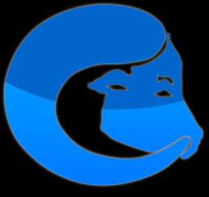Logo hackpott.de